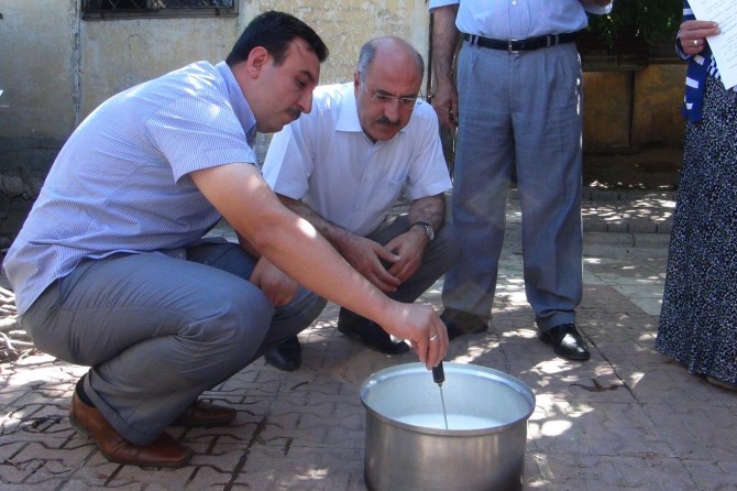 Bingöl'de "Güvenli Taze Peynir Yapımı Projesi" sona erdi