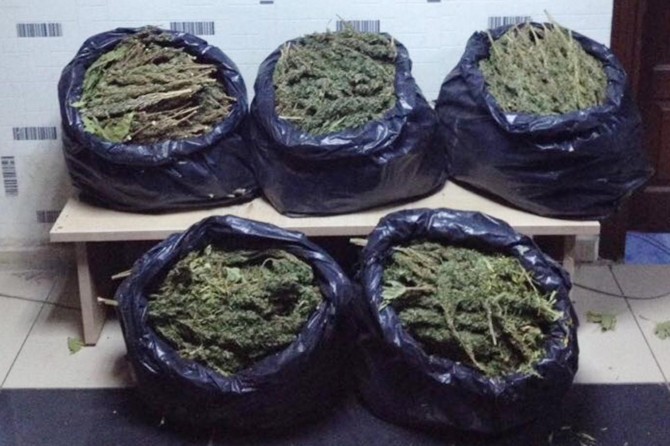 Şanlıurfa’da 25 kilo esrar ele geçirildi