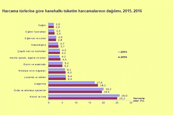Hane halkı bütçesindeki fazla harcama konut ve kira oldu