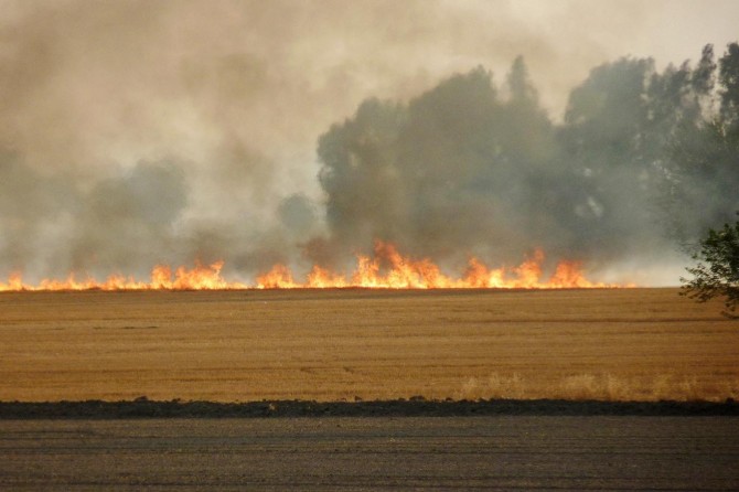 Anız yakmak kesinlikle caiz değil