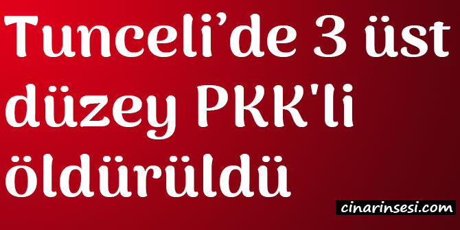 Tunceli Ovacık'ta 3 üst düzey PKK'li öldürüldü