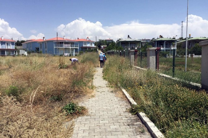 Van Büyükşehir Belediyesinden yazlık denetimi