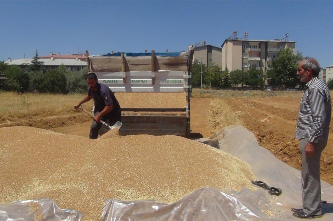 "Vatandaş emeğinin karşılığını alamadığı için çiftçilikten soğudu"
