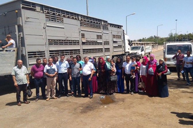 Diyarbakır'da 17 “Genç Çiftçi”ye 85 manda hibe edildi