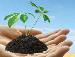 Tohumlarımızı İslam Suyuna ve İman Işığına Tabii Tutarak Yetiştirelim!