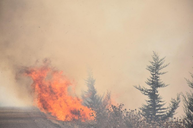 Adıyaman Kahta’da orman yangını