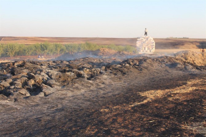 Adıyaman Kahta'daki yangında tonlarca saman küle döndü
