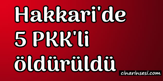 Hakkari Şemdinli'de 5 PKK'li öldürüldü