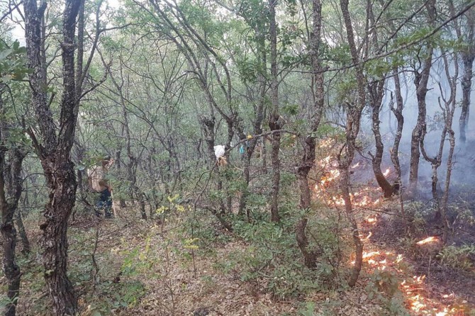 Tunceli Valiliğinden orman yangınlarına ilişkin açıklama