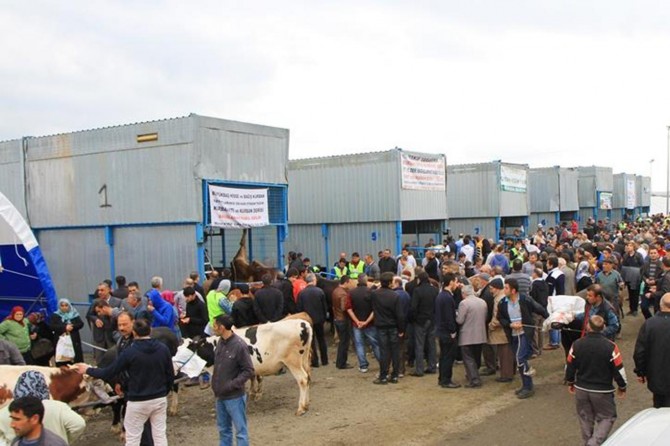 Van’da kurban satış ve kesim yerleri belirlendi