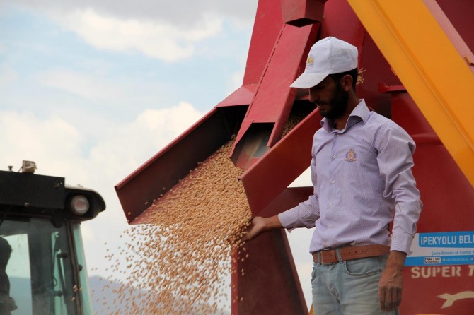 Van’da alternatif üretimin bereketli hasadı