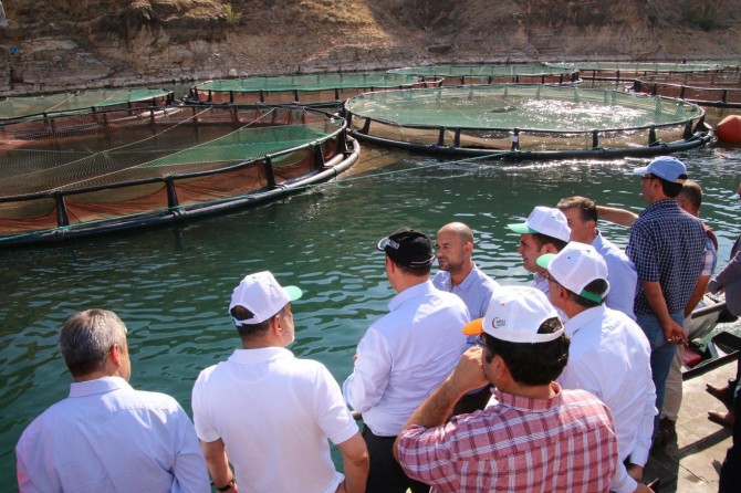 "Balıkçılık Elazığ için çok önemli bir alan"