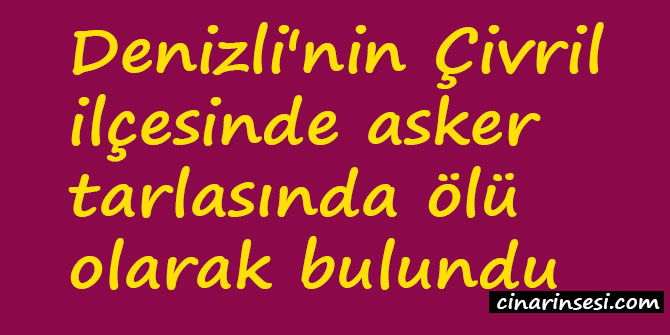 Denizli Çivril'de asker tarlasında ölü olarak bulundu