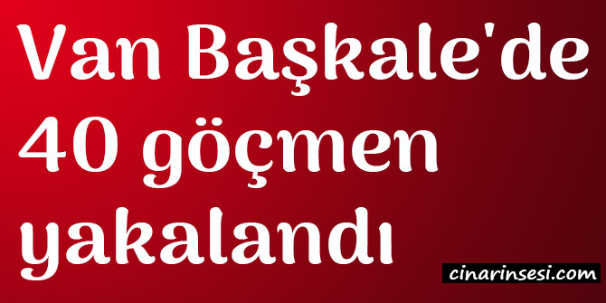 Van Başkale'de 40 göçmen yakalandı