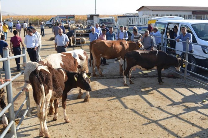 Kurban satıcıları hareketlilikten memnun