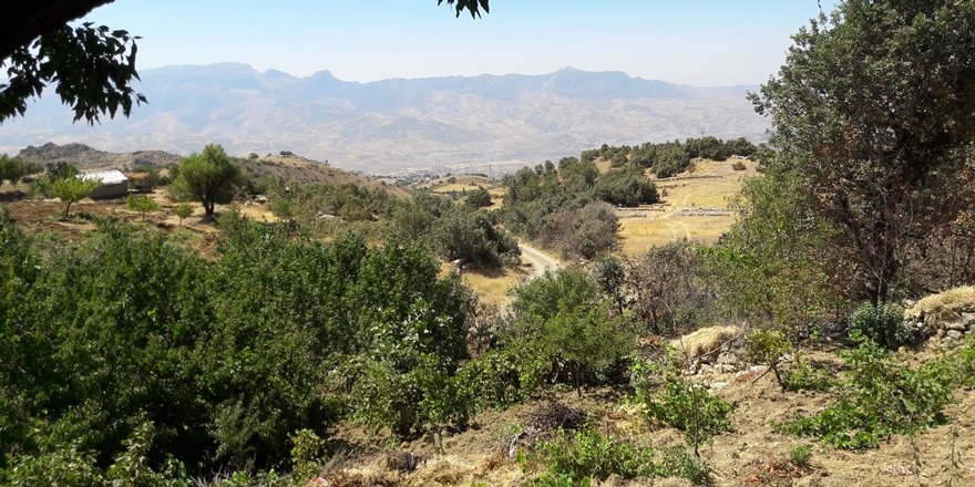 Şırnak'ta çatışma: Bir yüzbaşı ile güvenlik korucusu hayatını kaybetti