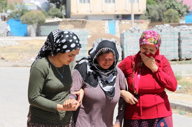 Ji faciaya traktorê rondik û xeyal man