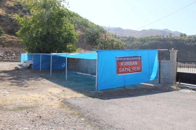 Bitlis'te ilk kez hayvan pazarı kuruldu