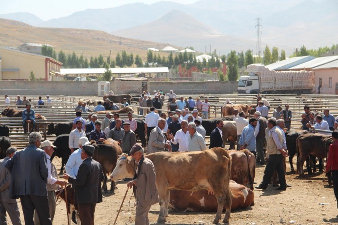Van’da kurbanlık pazarı hareketlendi
