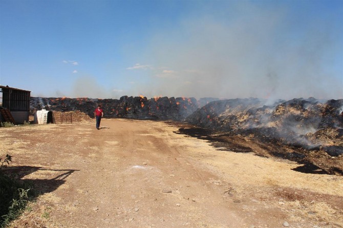 ​Adıyaman Kahta'da çıkan yangında 225 ton saman kül oldu
