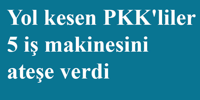 ​Siirt Eruh'ta yol kesen PKK'liler 5 iş makinesini ateşe verdi