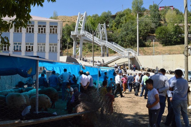 Bitlis’te bayram arifesinde kurban pazar yerlerinde hareketlilik başladı