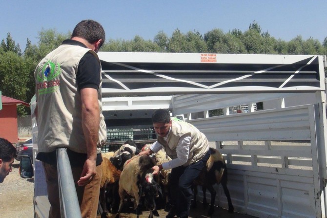 Bingöl'de yüzlerce aileye kurban eti dağıtacak
