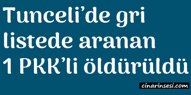 Tunceli’de gri listede aranan 1 PKK’li öldürüldü