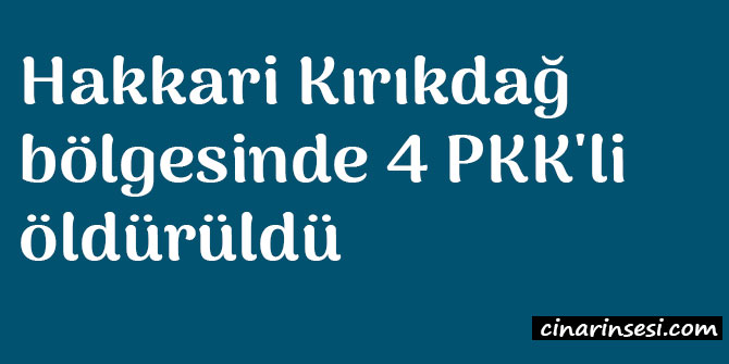 Hakkari Kırıkdağ bölgesinde 4 PKK'li öldürüldü