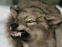 Kurdun Niyeti Kuzuyu Yemekse Bahane mi Yok!