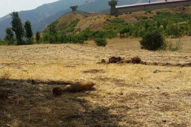 Bingöl Solhan köylüleri diken üstünde