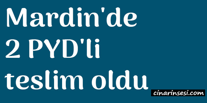 Mardin Nusaybin'de 2 PYD'li teslim oldu