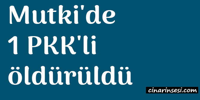 Bitlis Mutki'de 1 PKK'li öldürüldü