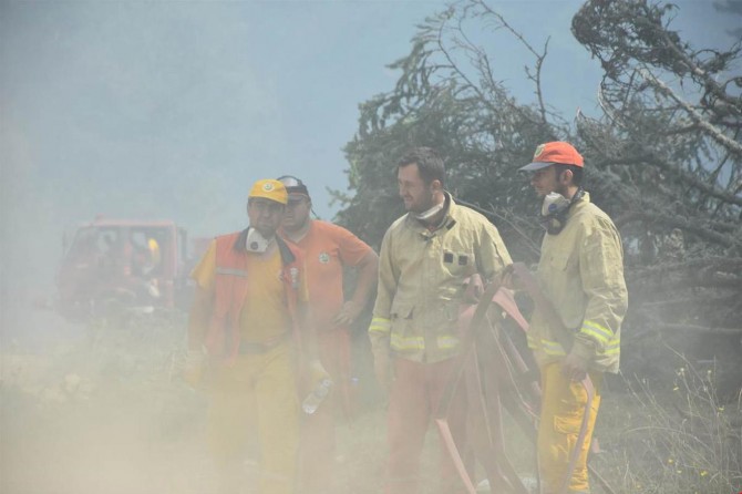 Orman yangınları Kütahya'da kontrol altına alındı Bilecik'te devam ediyor