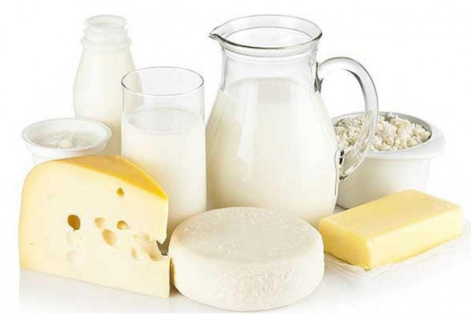 Toplanan inek sütü miktarı azaldı