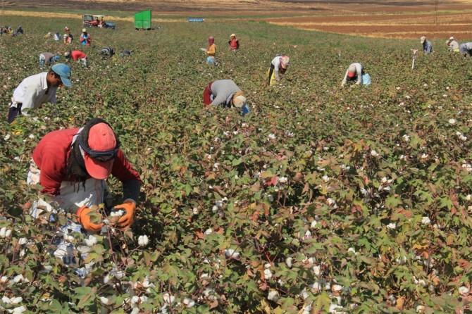 Desteğin artırılmasını mazot fiyatının da düşürülmesini istiyoruz video