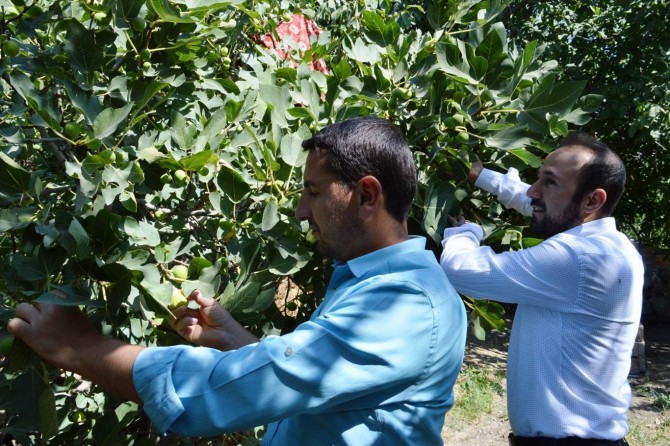Ürünlerinden verim alamayan köylüler yardım bekliyor