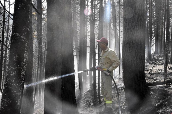 Bilecik'teki orman yangınını söndürme çalışmaları sürüyor