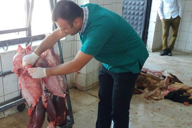 Ordu'da karantiya alınan mahalle 5 yıl aşılanacak