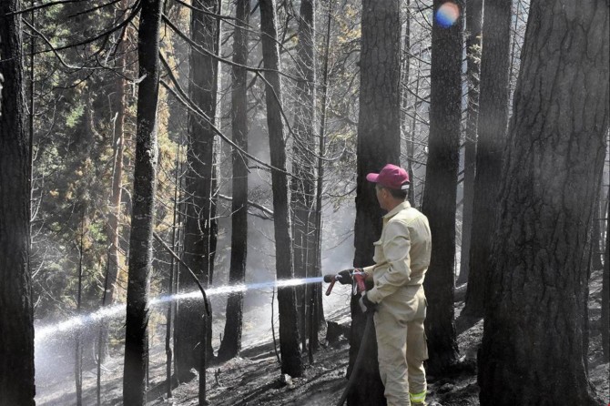 Xebatên tefandina şewata daristanê ya li Bîlecîkê berdewam dikin