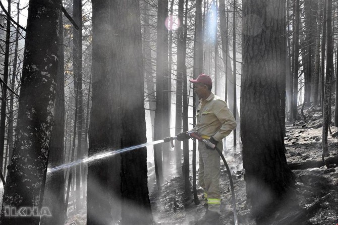 Work to extinguish the forest fire in Bilecik continue