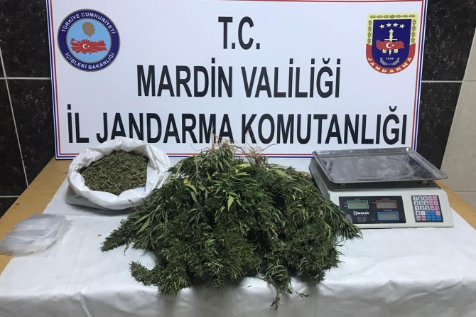 Mardin Kızıltepe’de esrar operasyonu: 1 gözaltı