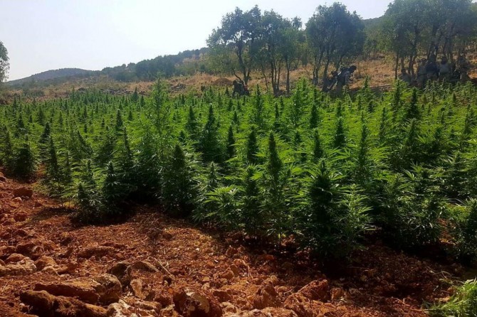 Diyarbakır’da uyuşturucu operasyonu: 4 gözaltı