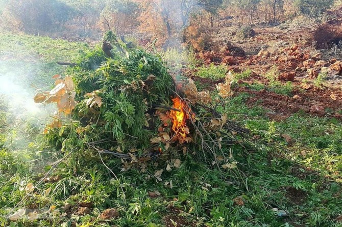 Li Diyarbekirê operasyona tiryakê: 4 binçavî