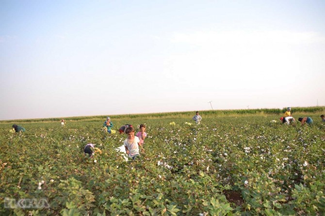 Students working in the fields couldn’t start the school