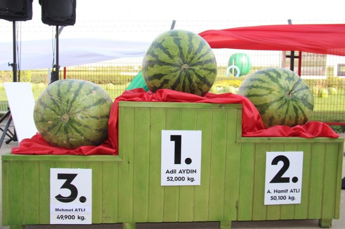 Diyarbakır’da kültür ve karpuz festivali düzenlendi