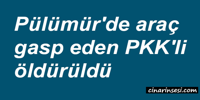 Tunceli Pülümür'de araç gasp eden PKK'li öldürüldü