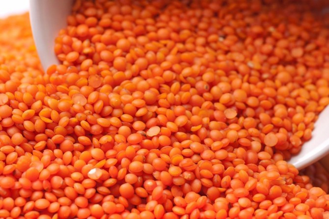 Kırmızı mercimek 2,05 liradan satıldı