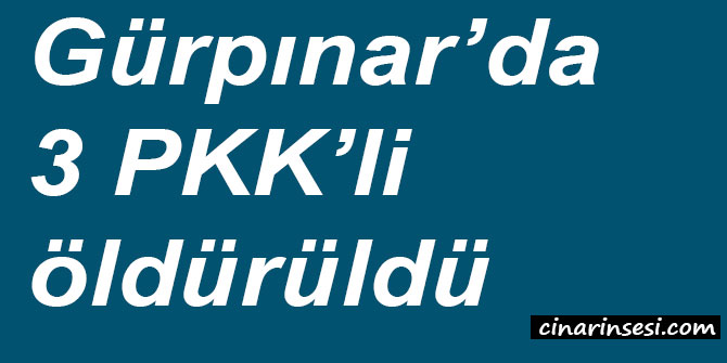 Van Gürpınar’da 3 PKK’li öldürüldü