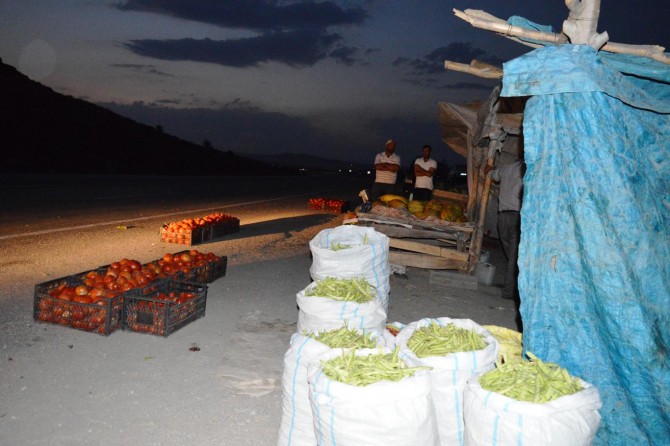 Domates üreticileri düşük fiyatlardan yakınıyor